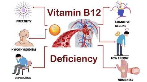 Vitamin B12 Deficiency: Symptoms, Causes & Treatment.